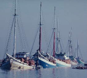 A convoy of Bugis ships