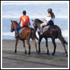 beach horse riding & jimbaran beach dinner